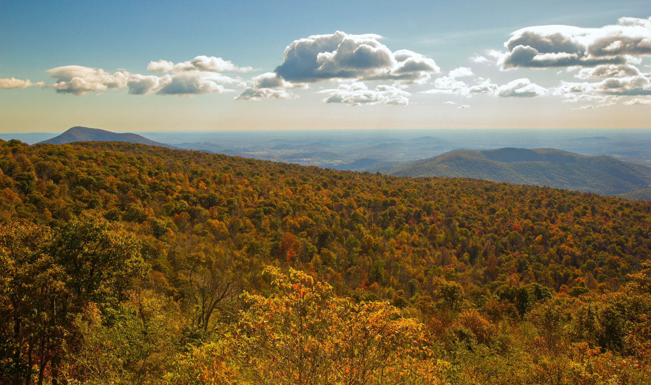 Fall Colors of Shenandoah Valley